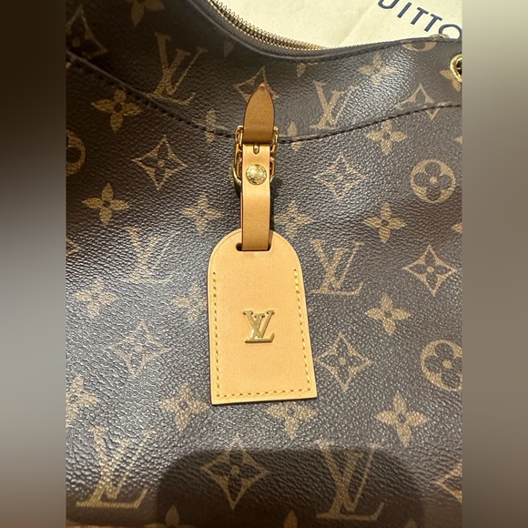 Louis Vuitton Odeon PM - Picture 8 of 13